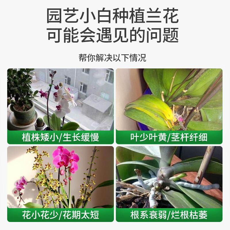 尚洋兰花多箭素植物营养液免稀释100ml兰科绿植养花肥料催花促开花 免稀释兰花多箭素100ml