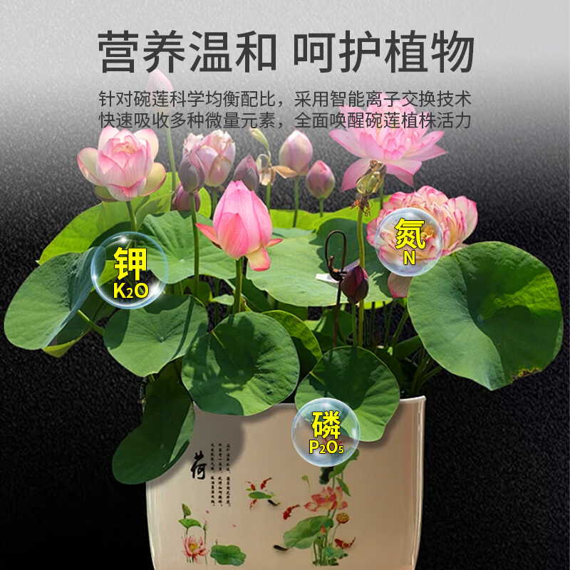 尚洋碗莲型植物营养液免稀释100ml园艺绿植养花肥料水培有机叶面肥 免稀释营养液100ml-碗莲型