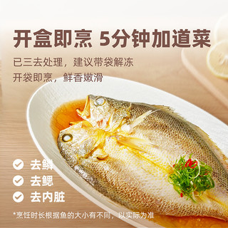 【金玉满堂礼盒288款】一米八深远海大黄鱼新鲜冰冻海鲜礼盒装