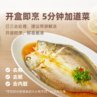 【金玉满堂礼盒288款】一米八深远海大黄鱼新鲜冰冻海鲜礼盒装