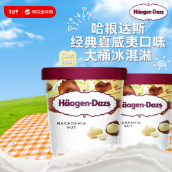 哈根达斯 Haagen-Dazs）夏威夷果仁口味大桶冰淇淋473ml 家庭装