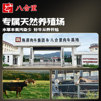 八合里牛肉丸鲜牛肉制作 地道潮味 牛肉含量≥90% 地道潮味 门店口味 牛肉丸一斤装