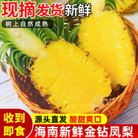 移动端、京东百亿补贴：有鲜气 海南金钻凤梨 小果 2.5斤3个装