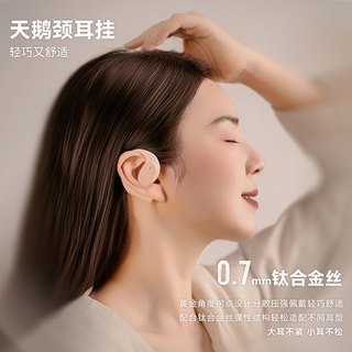 JBL 杰宝 SENSE LITE 挂耳式真无线蓝牙耳机