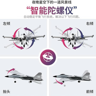 BRETEUIL遥控飞机儿童玩具航模EVA泡沫滑翔机新手耐摔充电玩具成人礼物 歼20-战斗机【双电/续航45分钟】