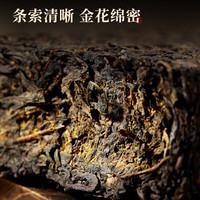 七春 泾阳金花茯茶 500g