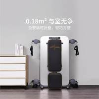 泰科普斯 TECHPLUS 用塑形机 黑灰色