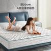 林氏睡眠椰棕垫乳胶软垫透气家用弹簧棕垫席梦思硬垫 A2全家适用|偏硬|厚20cm：抗菌面料+精钢邦尼尔弹簧+净味棕 120*200cm