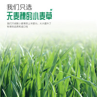 洁西 烘干小麦草 兔兔牧草干草适用于荷兰猪龙猫豚鼠粮食饲料500g 烘干小麦草500g