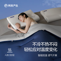 网易严选 亚朵同款 0敏控温深睡被pro 四季被 220*240cm