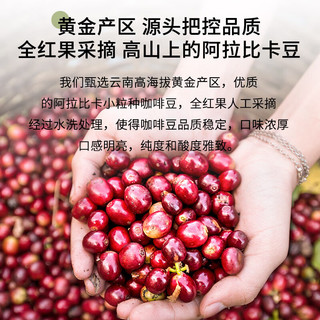 鹿家嘴云南咖啡普洱咖啡曼特宁风味咖啡豆500g云南小粒阿拉比卡豆深烘
