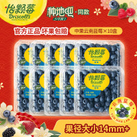 怡颗莓 云南蓝莓 125g*10盒