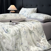 流川枫100%莱赛尔四件套高端轻奢丝滑天丝四件套 天然植物木浆纤维床品 寻光-浅绿YC 床笠款/1.5m(被套200*230cm)套件