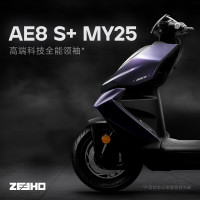极核 全能超控玩家高性能电摩电动摩托车踏板电摩电动车AE8S+MY25 AE8S+MY25颜色到店选