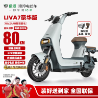 今日必买：绿源 新国标电动自行车LIVA7豪华版续航80公里NFC智能解锁十年 焕彩藏青 焕彩藏青-新国标可上牌