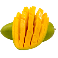 果沿子 新鲜大青芒芒果 时令热带新鲜水果 9斤装