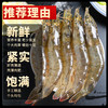  口水时代 鲜活 青岛大虾