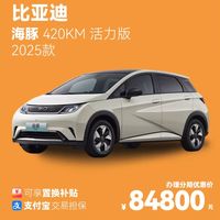 比亚迪 BYD 25款比亚迪海豚 420KM 活力版