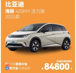 比亚迪 BYD 25款比亚迪海豚 420KM 活力版