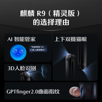 德施曼 智能门锁3D人脸识别 密码 钥匙 APP 人脸识别 半导体指纹 蓝牙 临时密码 手机小程序