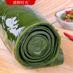 清鲜时光 盐渍整颗海带1500g净重