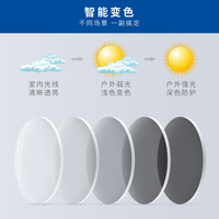 蔡司变色镜片两片 ZEISS智能室外变色防蓝光近视眼镜片焕色视界X 泽锐钻立方铂金膜焕色视界X片(4色可选) 1.60(薄)