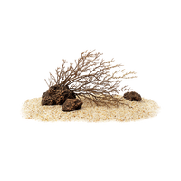 画法几何 南美风枯木造景