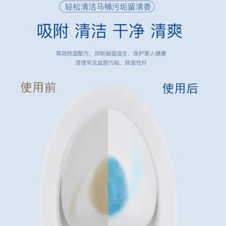 智匠蓝泡泡洁厕灵清洁球除尿垢清香型卫生间厕所除臭马桶清洁剂 洁厕宝10枚装【清香型】