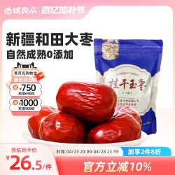 西域良品 新疆和田玉枣挂干一级 500g 袋装