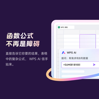 WPS大会员2年卡 含超级会员所有功能+WPS AI 金山办公软件PDF转word 图片处理PDF辑转换文档修复批量输出长图1T云空间 海量模板资源 兑换码 WPS大会员2年