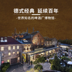 梅赛尔 Maisel’s Weisse 淡色啤酒IPA750ml单瓶装 橡木桶酿造 手工精酿  德国高端啤酒