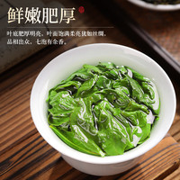 赛八仙乌龙茶 安溪铁观音清香型特级400g礼盒装 茶叶高档 【高端珍品】精选茶铁观音礼盒装