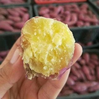 京地达桥头沙地红薯净重4.5斤 新鲜蔬菜 中果 沙地红薯 源头直发