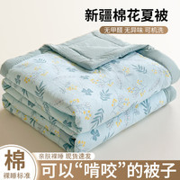新疆棉花被子被芯空调被春秋被可机洗夏季宿舍夏凉被纯