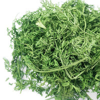 烘干胡萝卜缨兔粮幼兔饲料干草料兔子干草龙猫牧草叶子干叶