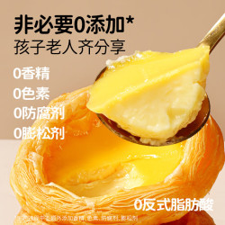 大希地 葡式蛋挞皮液套装蛋挞套装带锡纸托模具原料 大挞皮30个