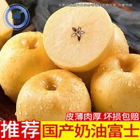 智洲 烟台奶油红富士苹果水果生鲜 6-4枚/家庭实惠装