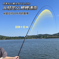 达瓦日本进口碳素达瓦菱然旗舰X2小综合鱼竿手杆超轻超硬28调台钓鱼竿 3.9m X2-(送原装竿稍+定制竿包+