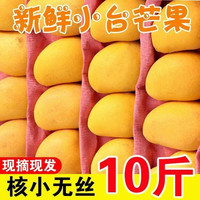尔蝶海南小台农芒果10斤新鲜小台芒当季热带水果现摘甜心小芒果整箱 精选大果 单果90-120g-爆甜多汁 精选9斤装 净重8.5斤