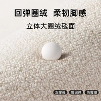 圣瓦伦丁入户门地垫新款简约高级门口脚垫耐脏防滑家用门垫门厅