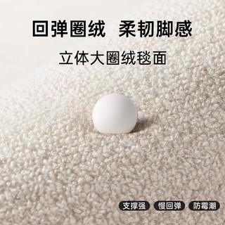 圣瓦伦丁入户门地垫简约高级门口脚垫耐脏防滑家用门垫门厅 60*90cm 黑法利正午矩形