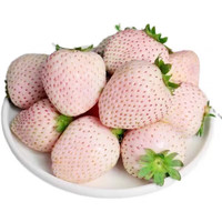 酷友淡雪白草莓【空运次日达】日本品种天使白雪公主粉色草莓礼盒装 1000g大果(三色草莓44颗装)