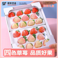 酷友淡雪白草莓【空运次日达】日本品种天使白雪公主粉色草莓礼盒装 500g大果(白色两盒22颗装)