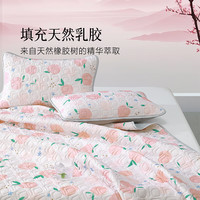 百丽丝水星家纺凉席乳胶席凉席冰丝凉席可水洗乳胶席子单人两件套 【精选抗菌防螨乳胶凉席】桃子