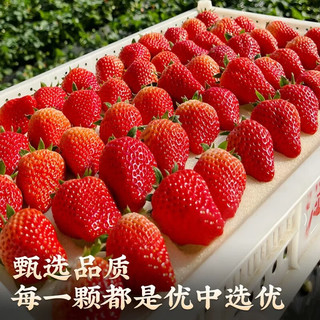 三萌果蔬丹东草莓【JD空运】99红颜奶油草莓多地次日达新鲜水果 3斤甄选装净2.8斤【超划算-高率】 A+级【特大果】单果25-30g 特大果【单果30g+】