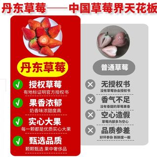 三萌果蔬丹东草莓【JD空运】99红颜奶油草莓多地次日达新鲜水果 3斤甄选装净2.8斤【超划算-高率】 A+级【特大果】单果25-30g 特大果【单果30g+】