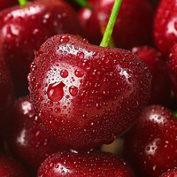 蒲恋山东樱桃车厘子【JD多地次日达】山东大樱桃5斤可选新鲜水果 2kg(净重) 整箱5斤【家庭装】 超大果【单果12-15g】颗颗甄选