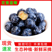 果尽欢 云南花香蓝莓 12-14mm 80-100g/盒 8盒