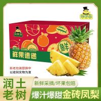 胡鲜森 海南金钻凤梨新鲜水果凤梨爆甜当季装整箱菠萝3.5斤起