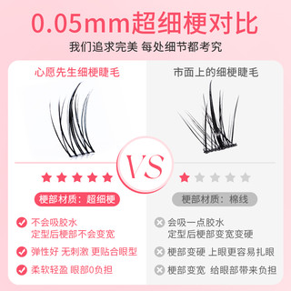 【下拉详情页领优惠】心愿先生懒人太阳花假睫毛PLUS自然睫毛书